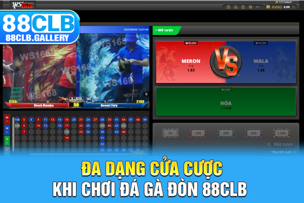 Đa dạng cửa cược khi chơi đá gà đòn 88CLB
